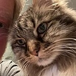 John DiMaggio and his pet cat Roger