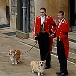 The Funeral of Queen Elizabeth II