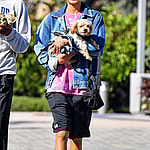 Willow Smith Holds Her Cute Lil Pooch Abby With Boyfriend De apos Wayne Jackson During A Grocery Store Run At Whole Foods In Malibu CA