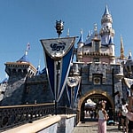 Large Rat Spotted Inside Disney Park, Scurries Past Guests!