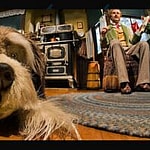 Squirrel "Breaks Into" Disney World Ride! See The Video