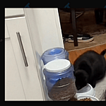 Nina Does the Most on TikTok