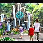 Previews For New Moana Ride At Disney World To Start SOON