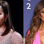Photo collage of Michelle Obama and Teresa Giudice.