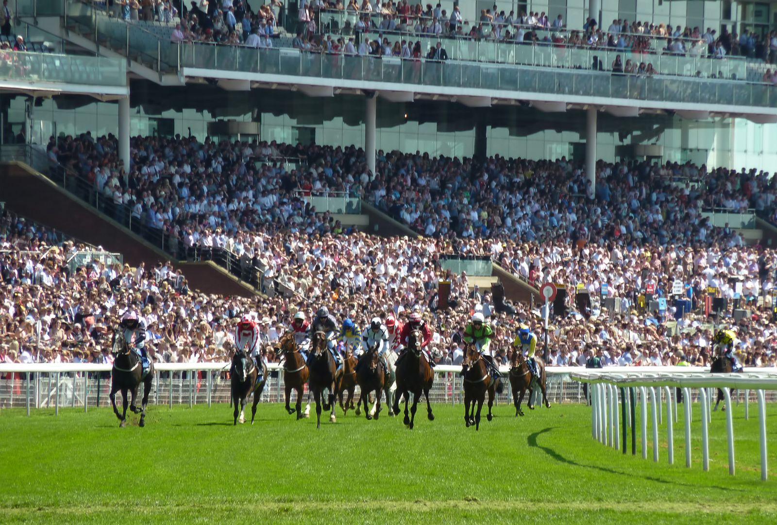 Horses Racing Around The Track