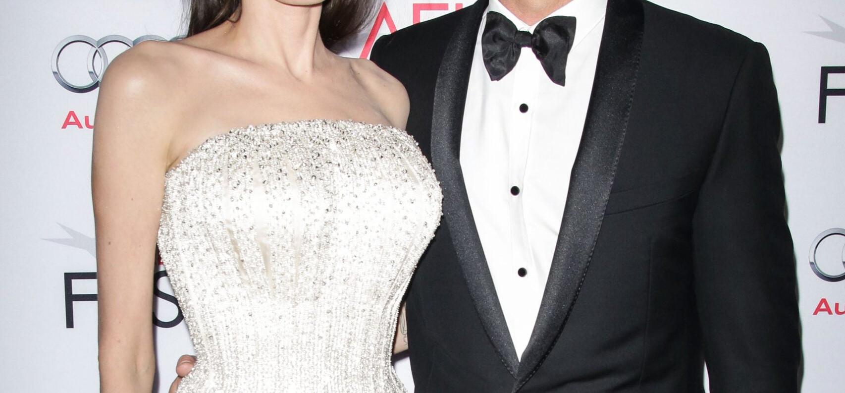 Brad Pitt Challenges Angelina Jolies' Victory In Child Custody Case