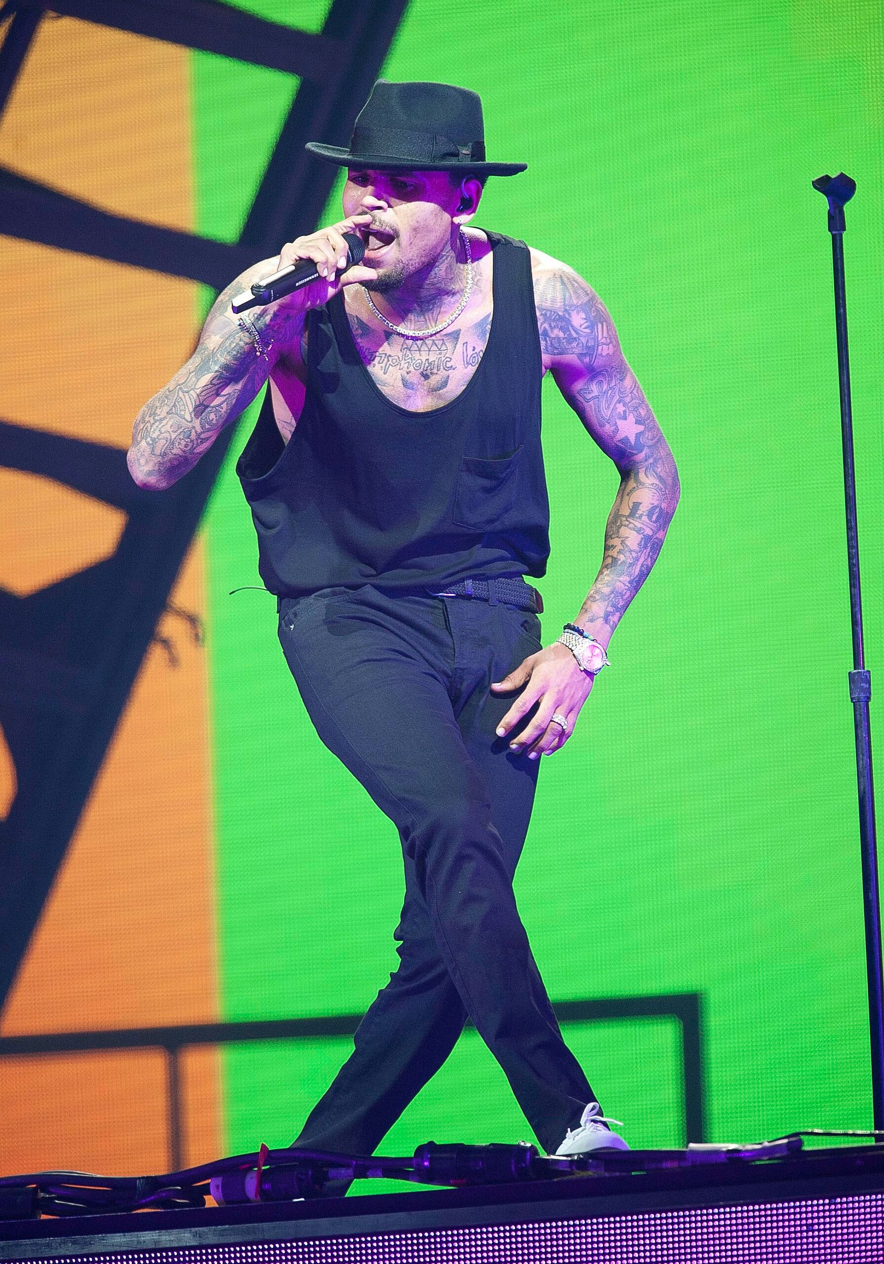 Chris Brown’s Alleged Dog Bite Victim’s Family Seeking Over $1 MILLION In Damages