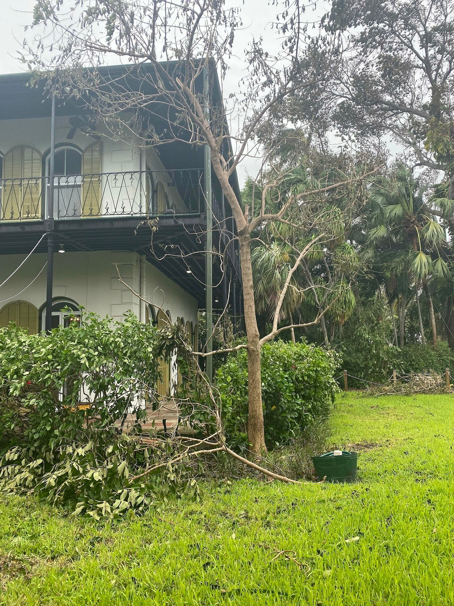 Ernest Hemingway's House