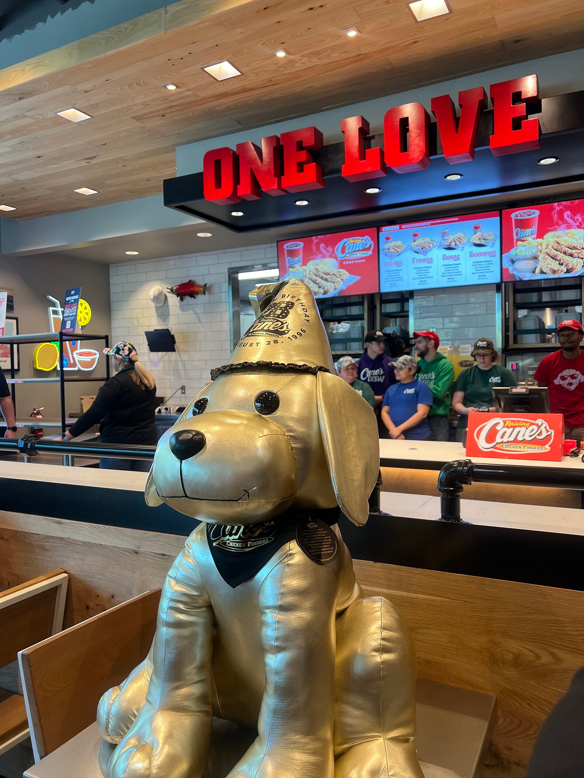 Golden dog at Raising Cane's