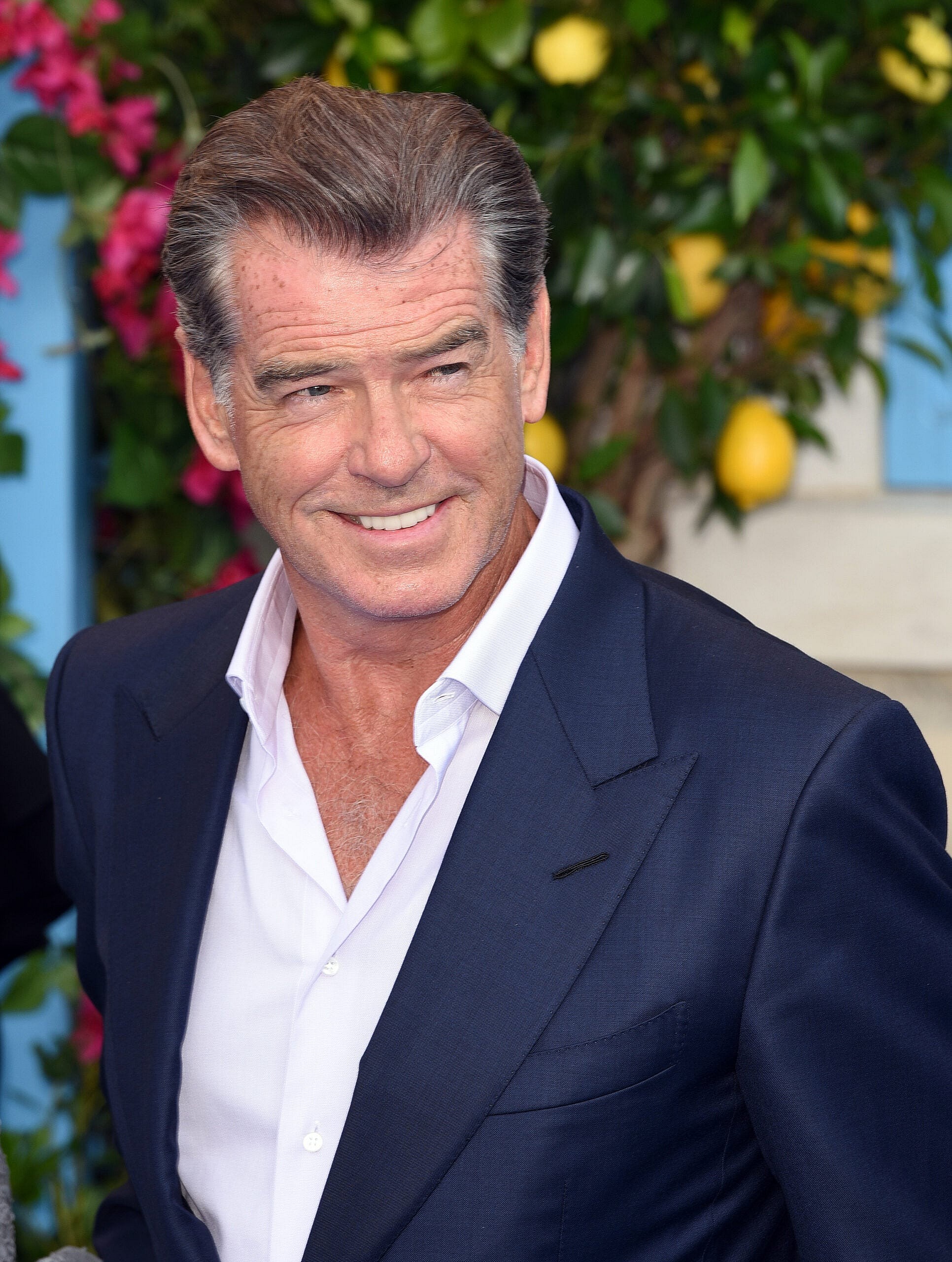 Pierce Brosnan
