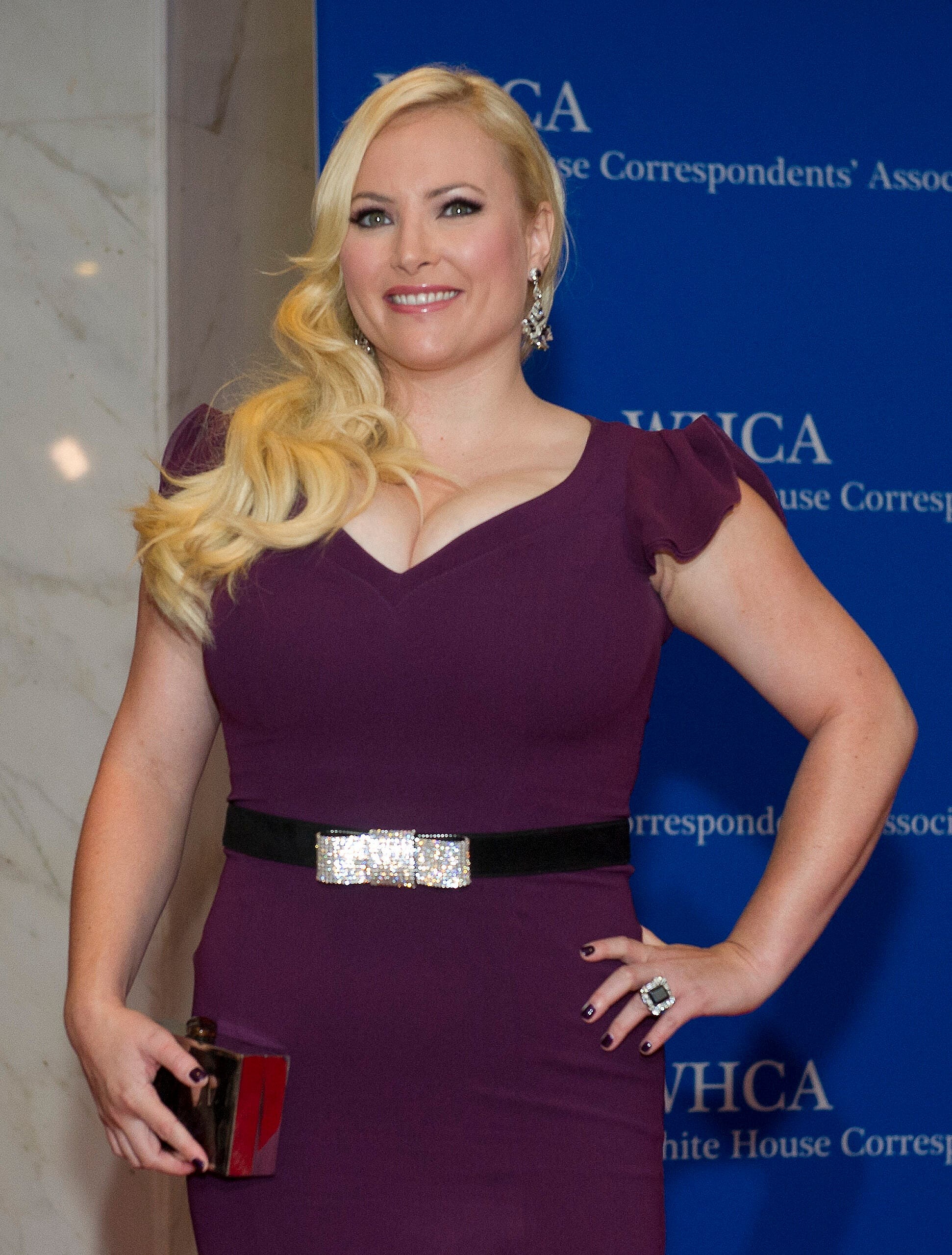 Meghan McCain at the 2014 White House Correspondents Dinner arrivals
