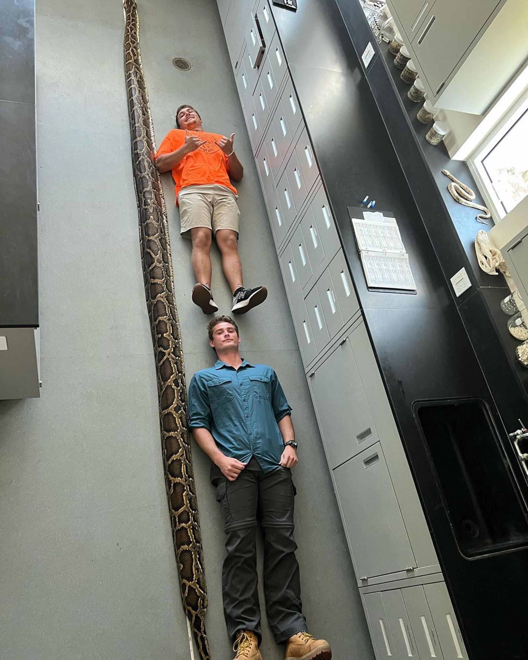 Python hunters show off record-breaking 19-foot Burmese python - the longest ever caught in Florida