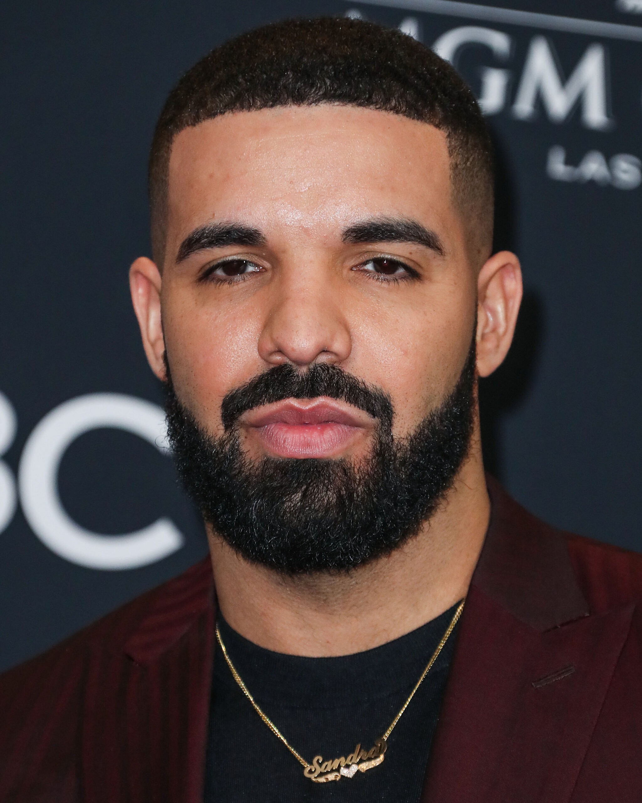 Portrait of Drake