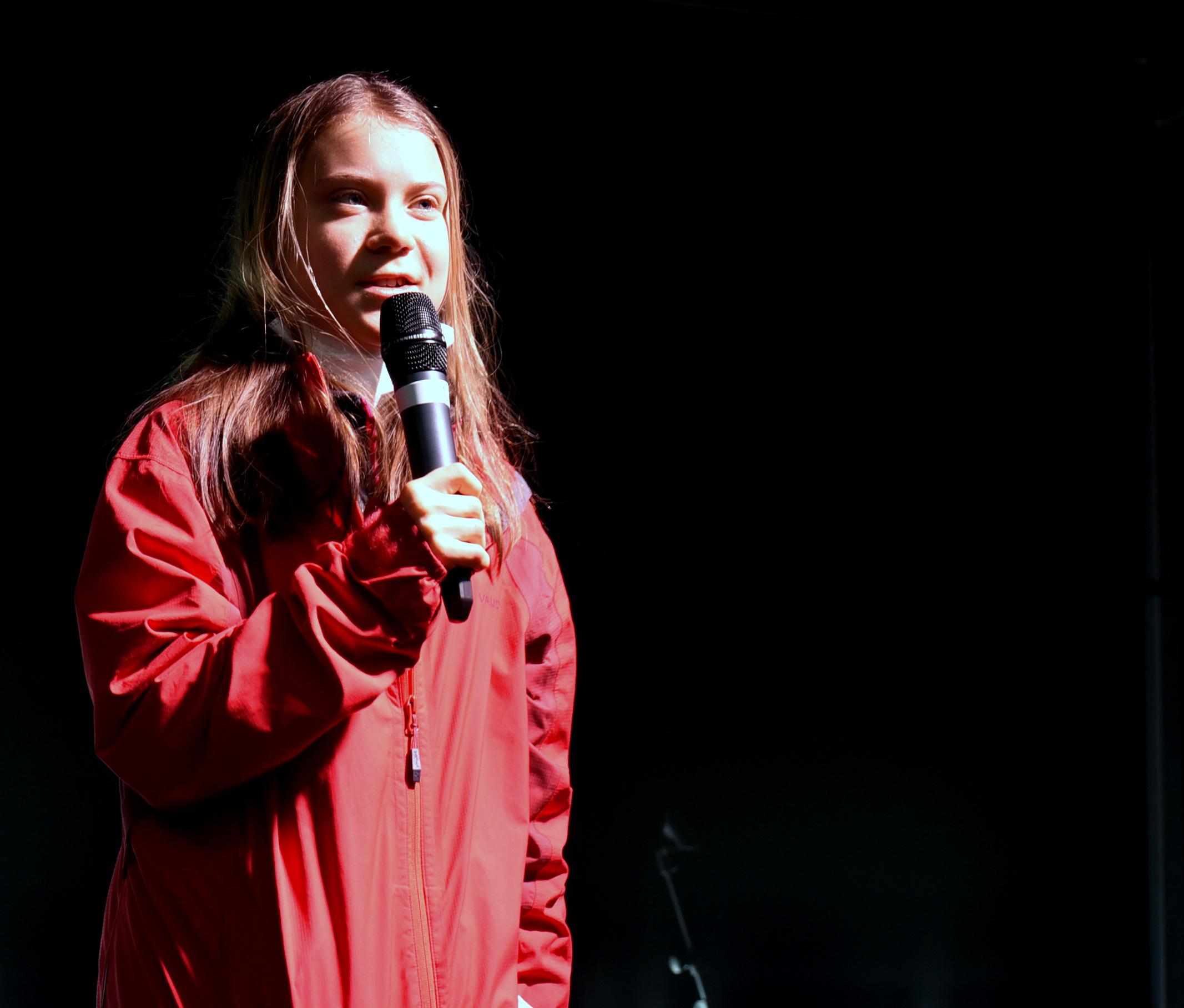Greta Thunberg at Fridays for future march