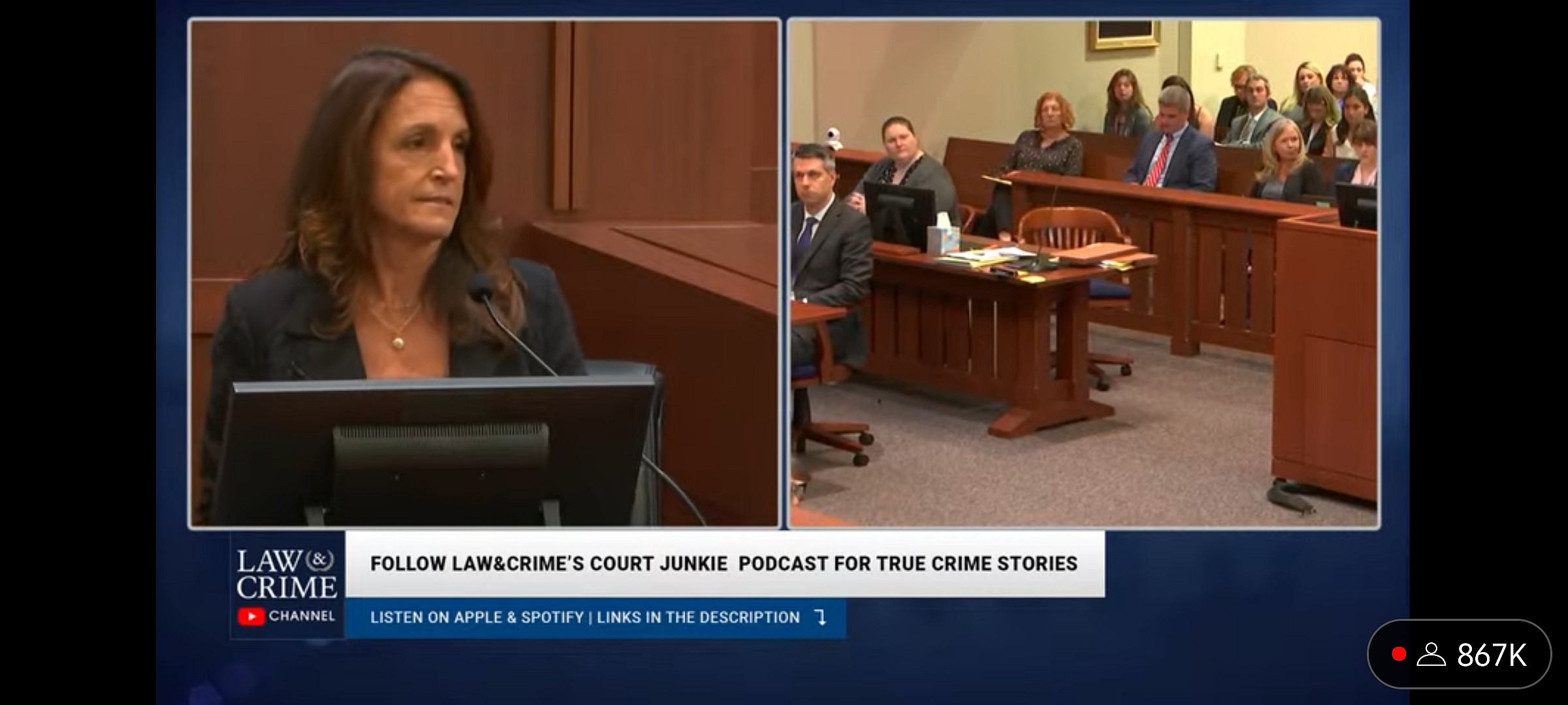 entertainment industry consultant Kathryn Arnold testifies