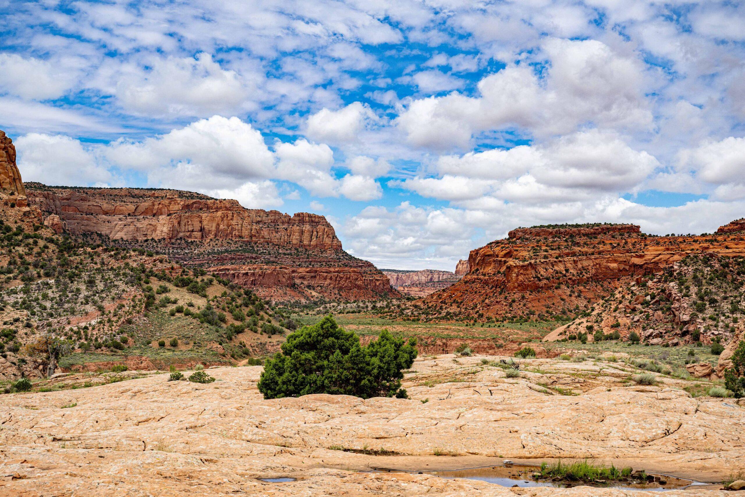 Grand Canyon National Park, Arizona, USA