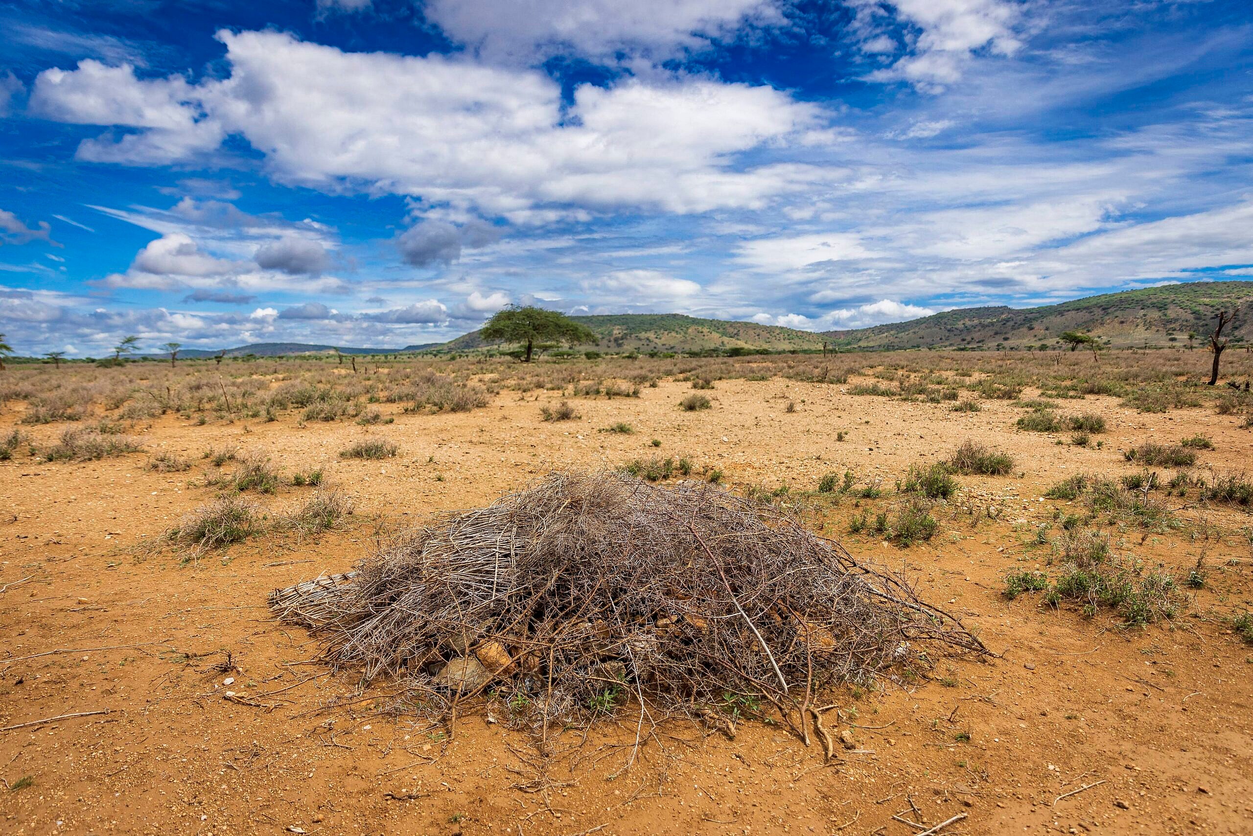 Northern Kenya Africa are currently facing the worst draught since the 1980s