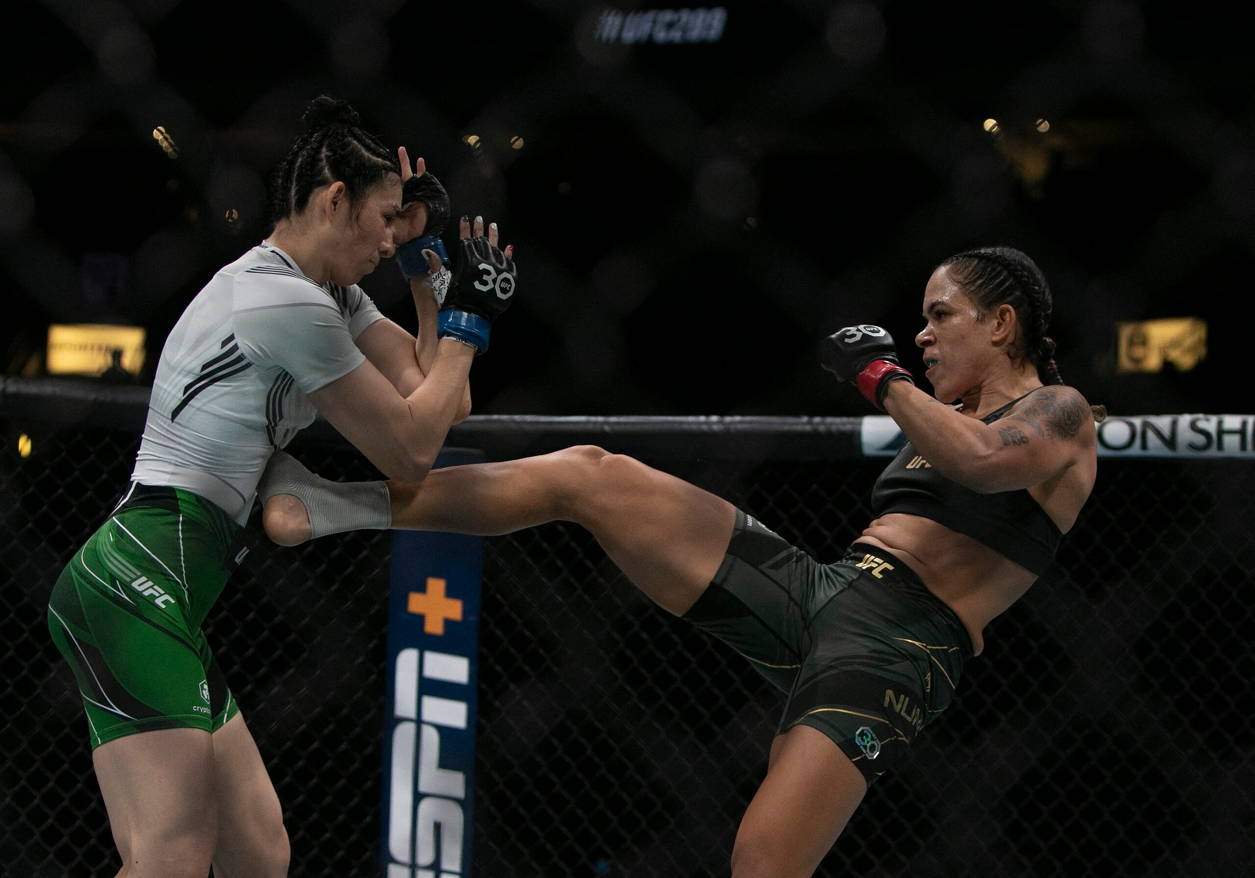 Amanda Nunes v Irene Aldana