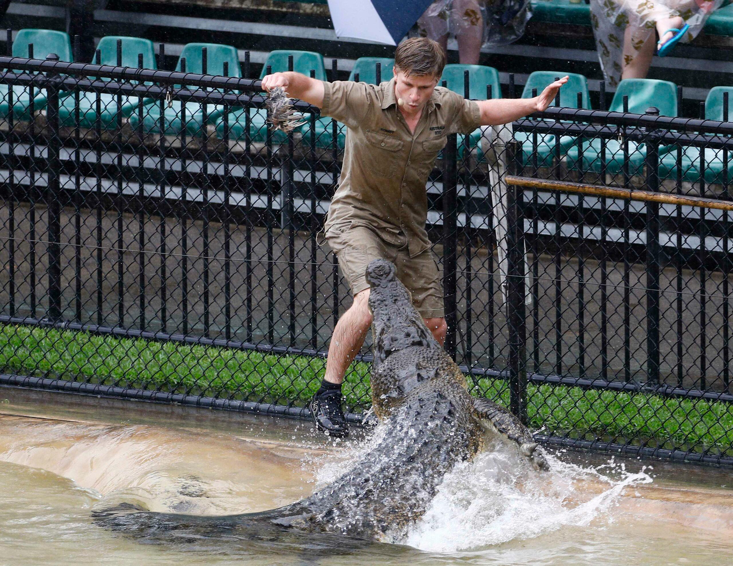 Robert Irwin and a crocodile