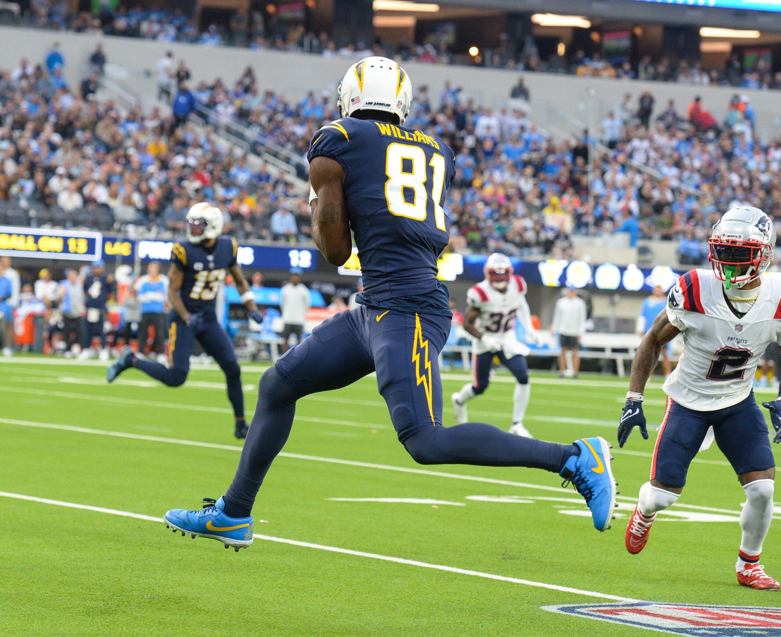 Celebrities at the Los Angeles Chargers vs New England Patriots