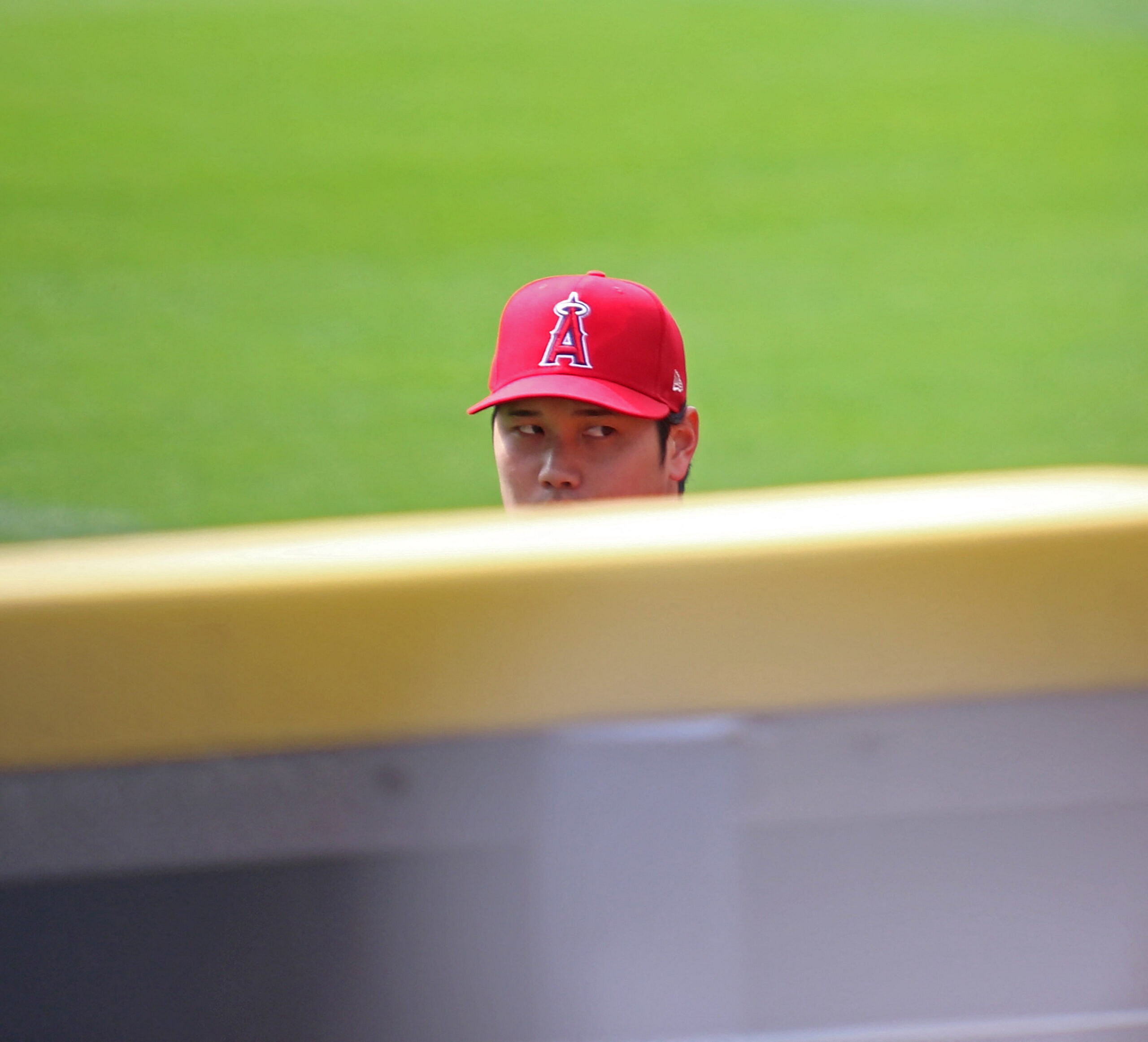 Superstar Angels pitcher Shohei Ohtani