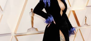 92nd Annual Academy Awards - Arrivals