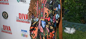 29th Annual DIVAS Simply Singing On World AIDS Day