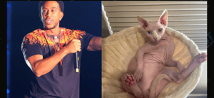 Ludacris and Nudacris