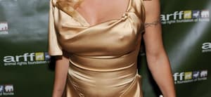 Pamela Anderson wearing a gold dress attends The Animal Rights Foundation 20th Anniversary Gala in Fort Lauderdale
