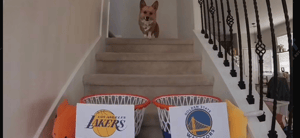 Corgi predicts NBA Playoff game winners