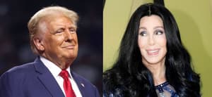 Donald Trump, Cher photo collage