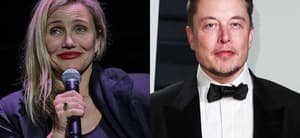 Cameron Diaz, Elon Musk photo collage