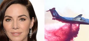 Whitney Cummings (left) Fire fighters drop fire retardant from a fire fighting plane (right)