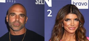 Photo collage of Teresa Giudice and Joe Gorga.
