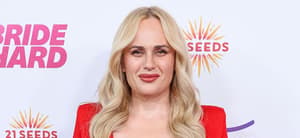 Rebel Wilson at the Los Angeles Premiere Of Magenta Light Studios' 'Bride Hard'
