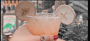 This "Hidden" Disney World Bar Is A MUST Do On Your Next Trip
