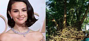 Selena Gomez (left) Texas flooding (right)