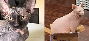 Nakee Minaj / Nudacris