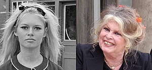 Brigitte Bardot photo collage