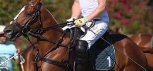 Prince Harry gets emotional after losing his polo match while Meghan Markle supports him from the sidelines