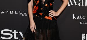 Rachel Bilson Files Restraining Order Against 'Stalker' With History Of Violence