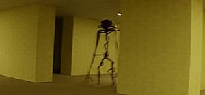 The Backrooms