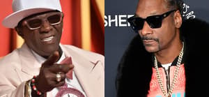 A collage of Flavor Flav and Snoop Dogg wearing dark shades and posing on different red carpet
