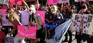 #FreeBritney Protesters