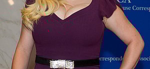 2014 White House Correspondents Dinner arrivals