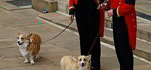 The Funeral of Queen Elizabeth II