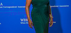 2022 White House Correspondents Dinner Arrivals