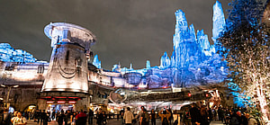 Parent Whips Child With Dog Leash At Disney World Per Incident Report