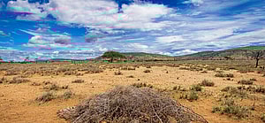 Northern Kenya Africa are currently facing the worst draught since the 1980s