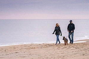 Joe Biden takes his new puppy Commander to the beach